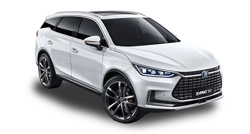 Tang (2022 - ) II Рестайлинг 2